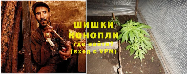 стаф Покровск