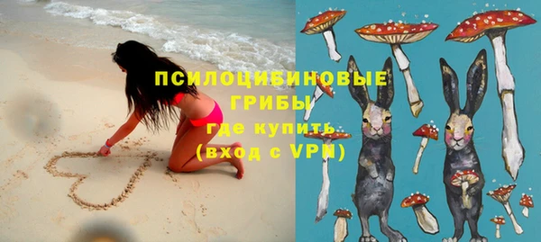 стаф Покровск
