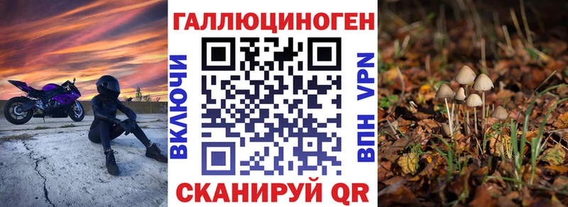 Псилоцибиновые грибы мицелий Княгинино